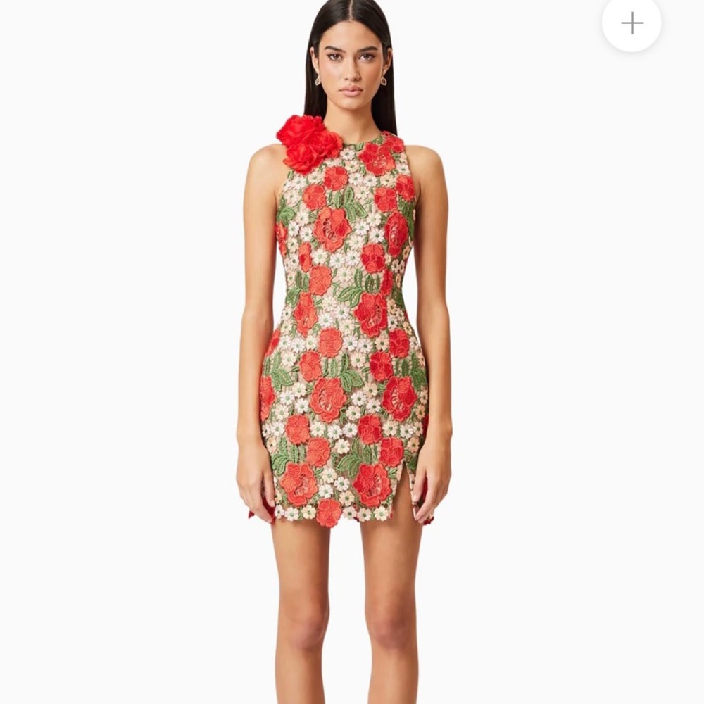 New with tags! Elliatt Dress with Red and Green Floral Design